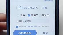 出险记录如何查询，怎么查详细？#二手车 #维修项目 #出险记录