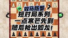双马防御短对局系列！一点寒芒先到，随后枪出如龙！