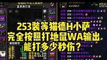 魔兽世界巫妖王之怒253装等猫德，25人HICC小萨完全按照打地鼠WA来输出，能打多少秒伤？#魔兽世