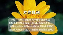 急性肝炎(30)