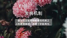 急性肝炎(42)