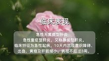 急性肝炎(53)