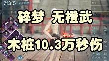 碎梦木桩10.3万秒伤 无橙武不吃药 全网首发
#逆水寒手游 #逆水寒手游碎梦 #碎梦 #碎梦秒伤