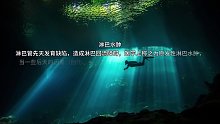 淋巴液相关疾病（6）