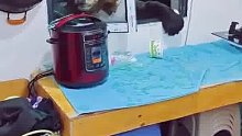 熊：哥们哥们，把电饭煲打开