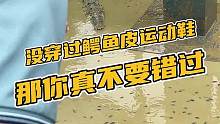 没穿过鳄鱼皮运动鞋，那你真不要错过#鳄鱼 #鳄珍 #鳄鱼养殖场