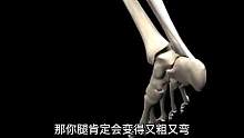 瘦小腿直小腿的关键居然是？#健身干货 #运动解剖 #健身教学