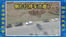 东北话搞笑配音，追求完美版侧方位停车 #搞笑配音 #搞笑视频