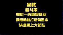 【晶核】格斗家一天直接毕业,满级就能打团，快速跟上大部队 #晶核新职业格斗家 #晶核 #晶核coa 