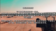 什么是2型糖尿病？(十五)