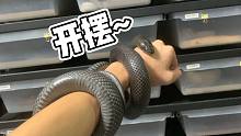 宠物蛇蛇居然也会摆烂！这绝对是随主人！