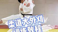 我的得意技，2020的最后一天送给你们#柔道 #大外刈 #日常训练