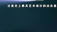相信我，你绝没见过如此具有艺术感的凶杀案#悬疑 #惊悚#失真的画 #惊悚