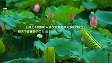预防关节炎（6）