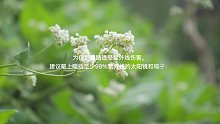 患白内障后该怎么办（2）
