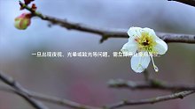 患白内障后该怎么办（5）