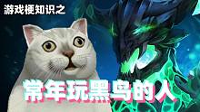 游戏梗知识：常年玩黑鸟的人大多目光呆滞