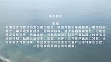 什么是支气管炎？(七)