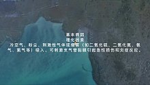 急性支气管炎(四)