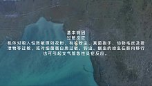 急性支气管炎(五)