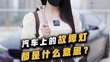 20秒教会你车上的灯亮了是哪里故障了~ #汽车知识#带你懂车#车知识分享计划