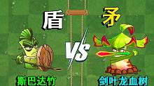 剑叶龙血树PK斯巴达竹：究竟是矛厉害还是盾厉害？