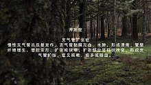 慢性支气管炎(十二)