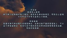 肺气肿(十一)