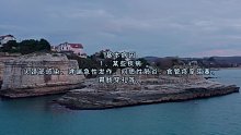 纵隔气肿(四)