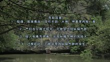 纵隔气肿(八)