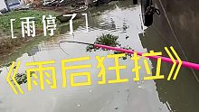雨停啦雨停啦，雨后狂拉又来了！