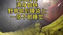 43.被困悬崖被困 路窄不敢睡 满身蜘蛛 还有野兽跑到身上  开始下雨