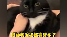 一招整治奶牛猫病，看完感觉奶牛猫眼神都睿智多了