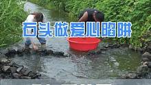用石头做爱心陷阱抓龙虾，没想到2.0版本更厉害...#三农 #龙虾 #我的乡村生活 #真实户外 
