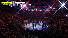 UFC295 吉里-普罗哈兹卡 VS 亚历克斯-佩雷拉 解说