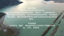 缺血性脑血管病(八)