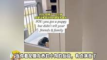 比起小狗，更惊讶的是，她竟然有这么多朋友