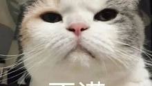 #猫猫 : 你自己看看这好看吗？有被冒犯到了~
