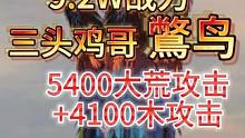9.2W战力 三头鸡哥【鷩鸟】 5400大荒+4100木攻击  输出如何？ #妄想山海 #宠物测试 