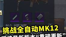 挑战只用全自动MK12，不愧是新版本“重磅更新”，轻松收获几百万 #地铁逃生  #吃鸡