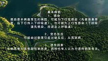 鼻旁窦支气管综合征(三)