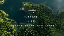 鼻旁窦支气管综合征(四)