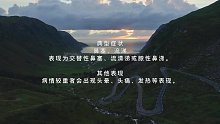 鼻旁窦支气管综合征(七)