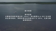 贝赫切特综合征(六)