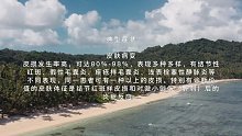 贝赫切特综合征(十一)