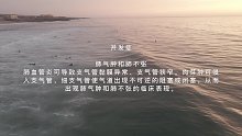 肺血管炎(二十)