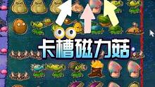 植物大战僵尸：卡槽磁力菇？那我将不在怜悯 #植物大战僵尸 #pvz #这个视频破次元 