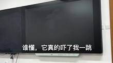 上课的时候一直在动，我拍它它就动了一下，后面就不动了，不会是人工的吧，还是双缝干涉啊#摄像头 #日常