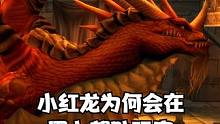 黑翼小红龙为何会在黑上帮助玩家 原来他是个悲情英雄 #魔兽世界 #魔兽世界怀旧服 #我比你们多一个世