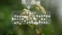 腱鞘炎(6)